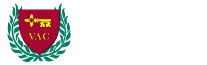 veritas academic consulting logo